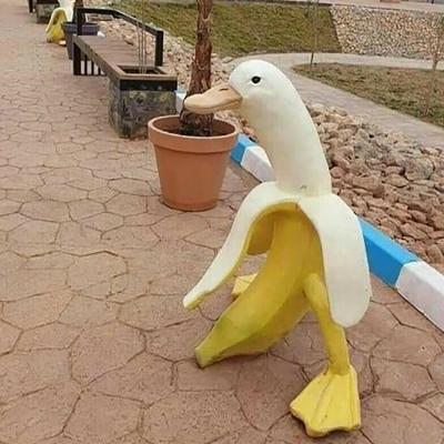 Banana duck
